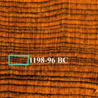 The growth rings inside a juniper tree, combined with isotope records, helped researchers pinpoint a likely culprit for the collapse of the Hittite Empire: three straight years of severe drought, approximately 1198–96 BC, in an already dry period.